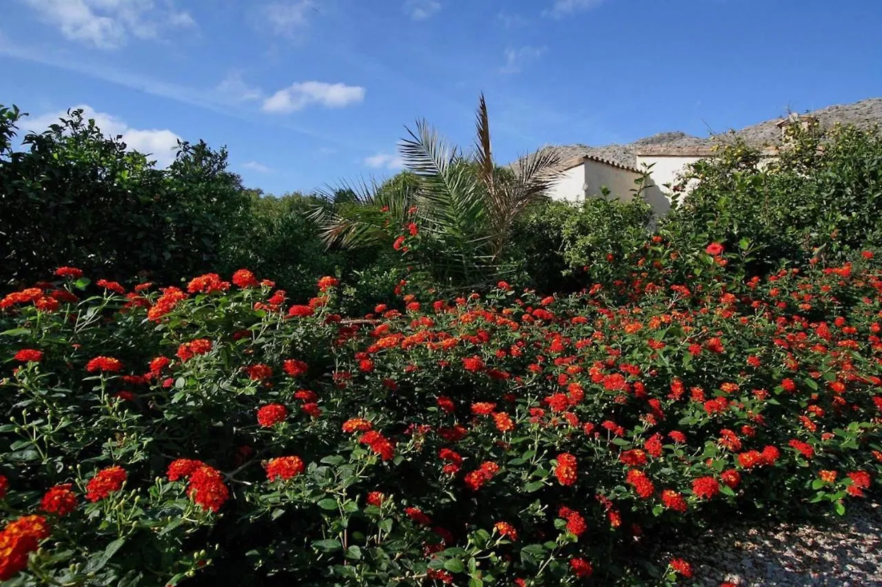 Rosa Villa Pollenca